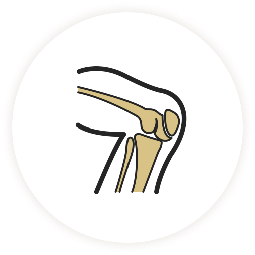 กระดูก และข้อ