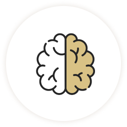 บำรุงสมอง