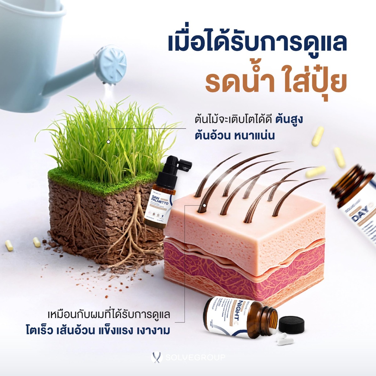 เมื่อได้รับการดูแล รดน้ำใส่ปุ๋ย ต้นไม้จะเติบโตได้ดี ต้นสูง ต้นอ้วน หนาแน่น เหมือนกับผมที่ได้รับการดูแล โตเร็วเส้นอ้วน แข็งแรง เงางาม เมื่อได้รับการดูแล รดน้ำใส่ปุ๋ย ต้นไม้จะเติบโตได้ดี ต้นสูง ต้นอ้วน หนาแน่น เหมือนกับผมที่ได้รับการดูแล โตเร็วเส้นอ้วน แข็งแรง เงางาม
