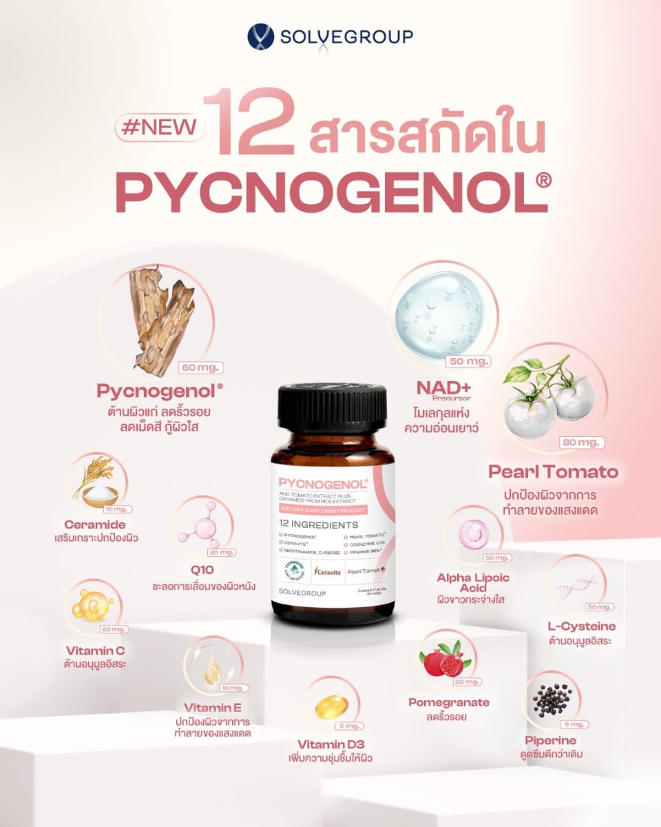 12 สารสกัดใน Pycnogenol