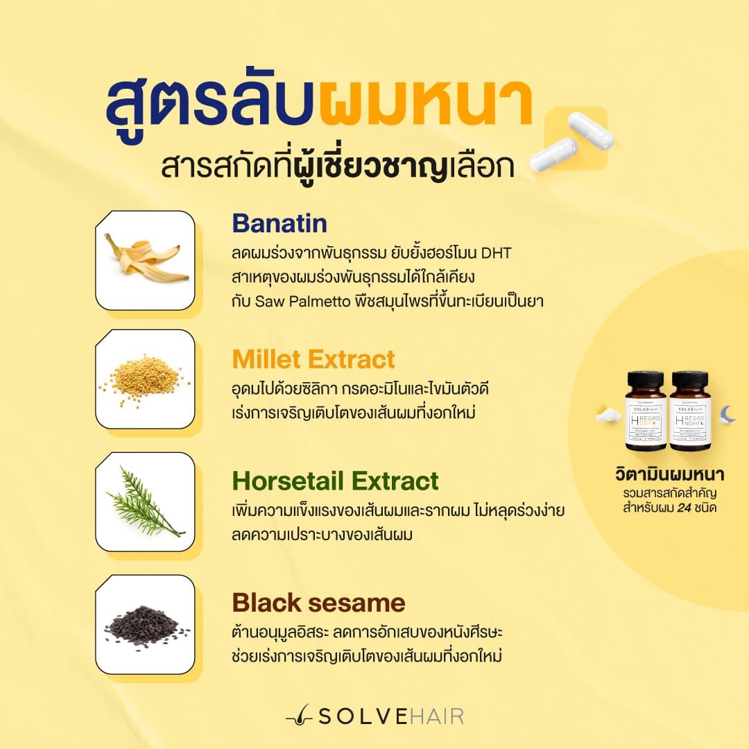 สูตรลับลดผมร่วง เพิ่มผมหนา