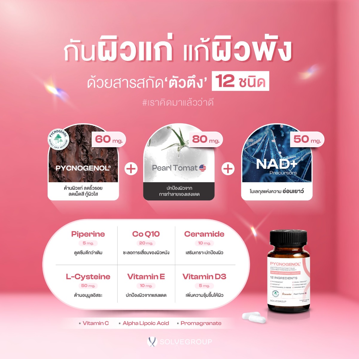 PYCNOGENOL ของ SOLVE ช่วยลดอนุมูลอิสระดูแลผิวจากภายใน PYCNOGENOL ของ SOLVE ช่วยลดอนุมูลอิสระดูแลผิวจากภายใน