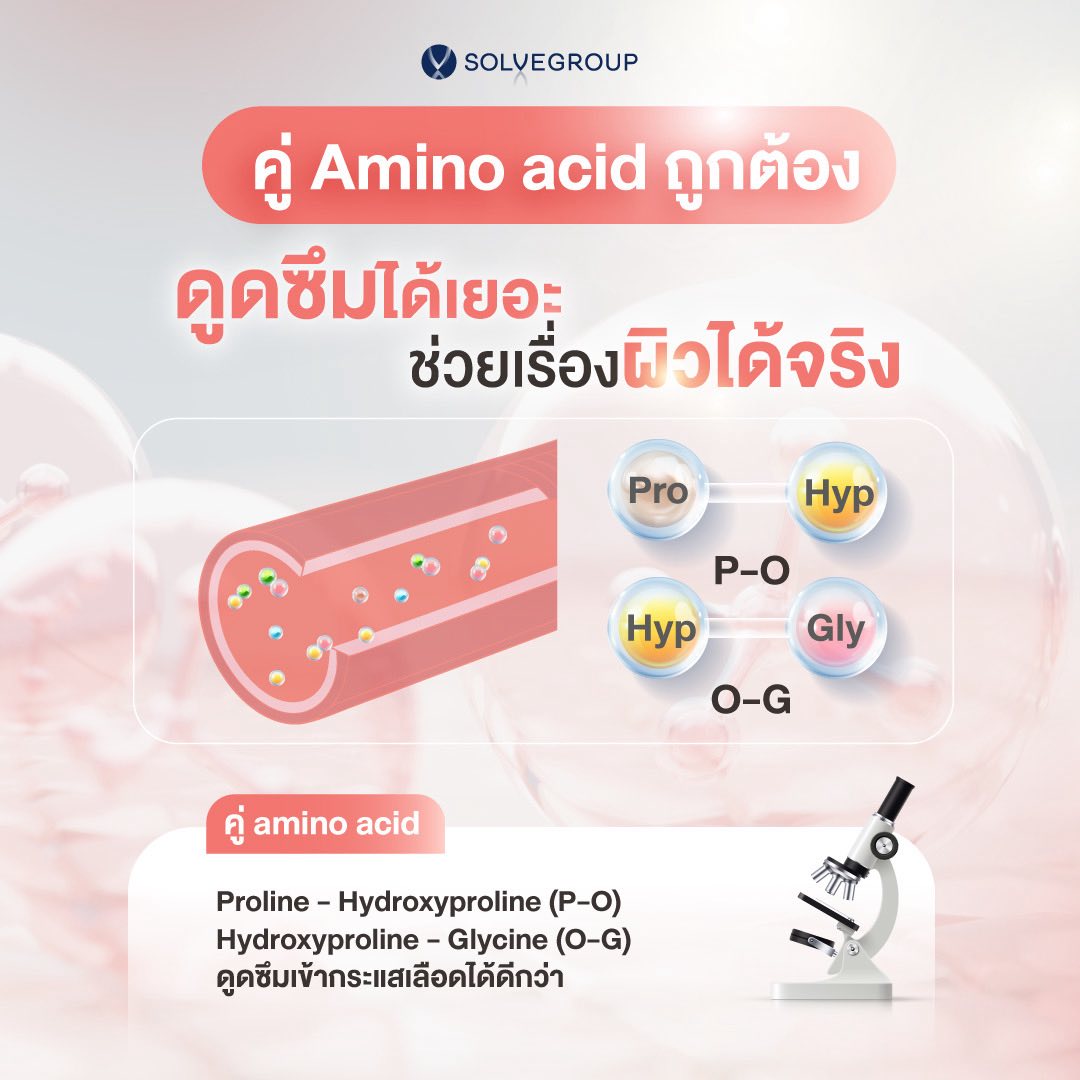 คู่ Amino acid ถูกต้อง คู่ Amino acid ถูกต้อง