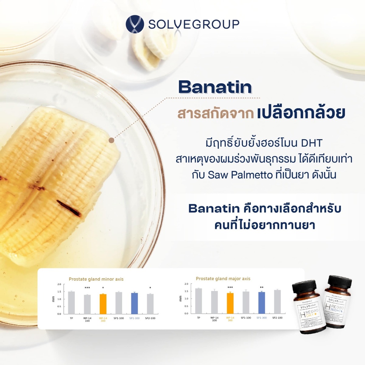 Banatin คือ