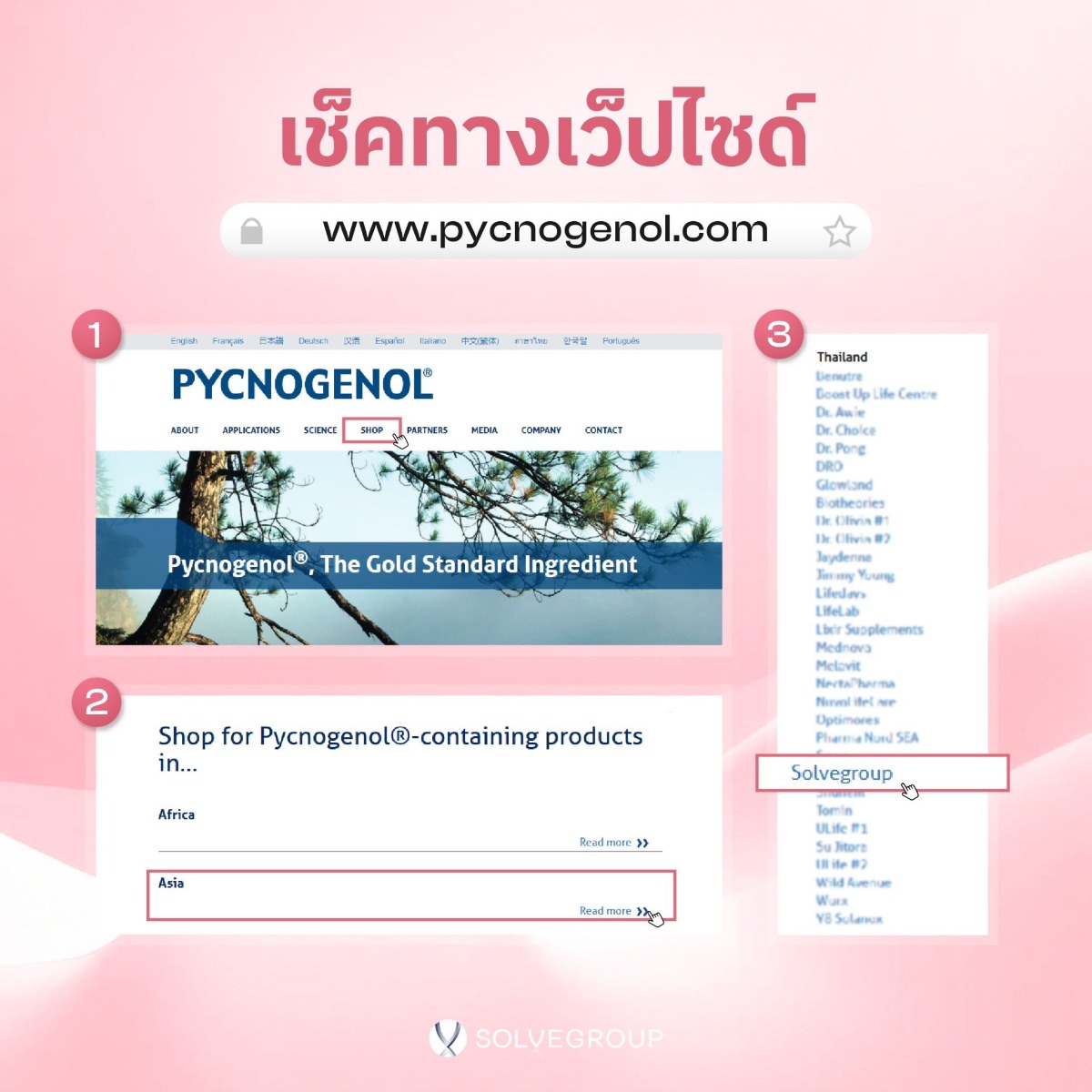 มั่นใจ ของแท้ แน่นอน ทุบหน้าไม่หมอง ต้อง Solve Pycnogenol มั่นใจ ของแท้ แน่นอน ทุบหน้าไม่หมอง ต้อง Solve Pycnogenol