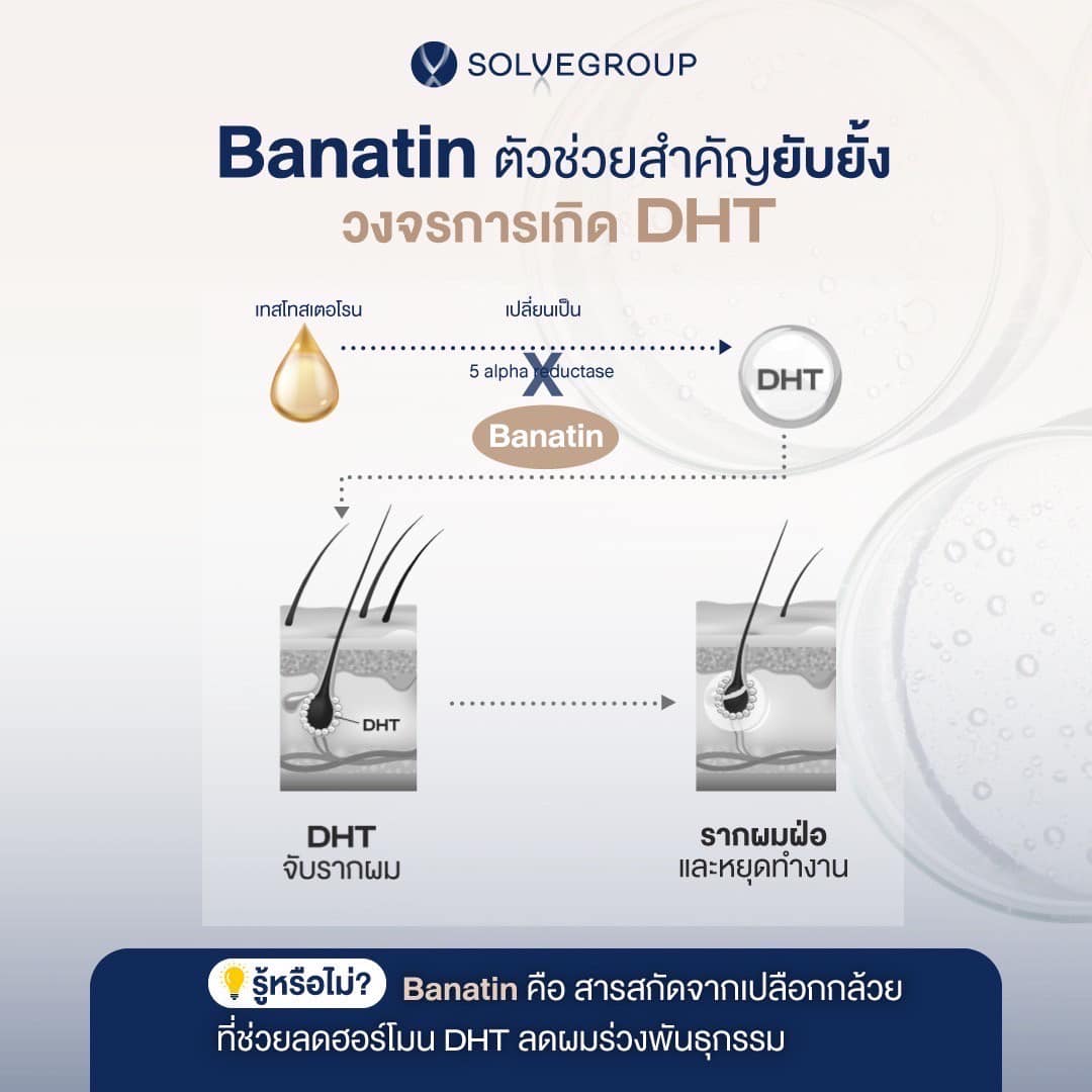 ฮอร์โมน Banatin ตัวช่วยสำคัญยับยั้ง วงจรการเกิด DHT