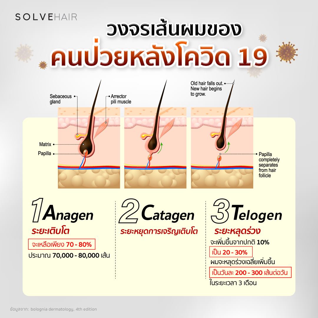 telogen-effluvium-covid