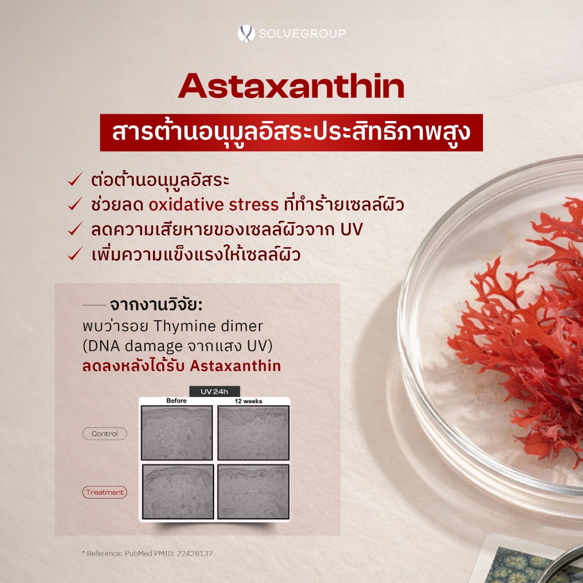 SOLVE ASTAXANTHIN SOLVE ASTAXANTHIN