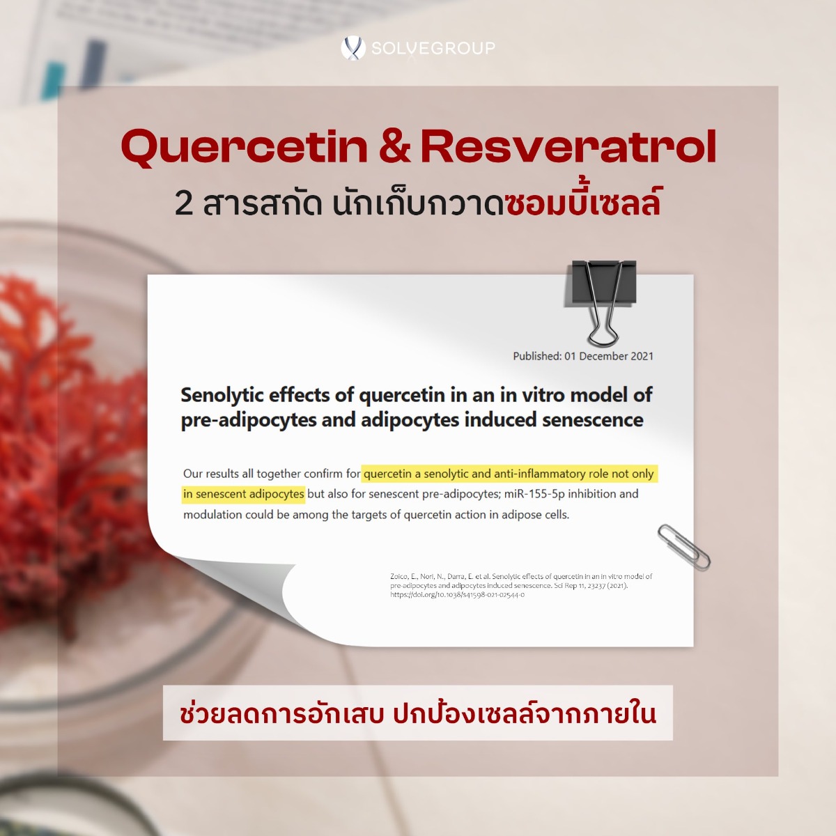 Quercetin & Resveratrol Quercetin & Resveratrol