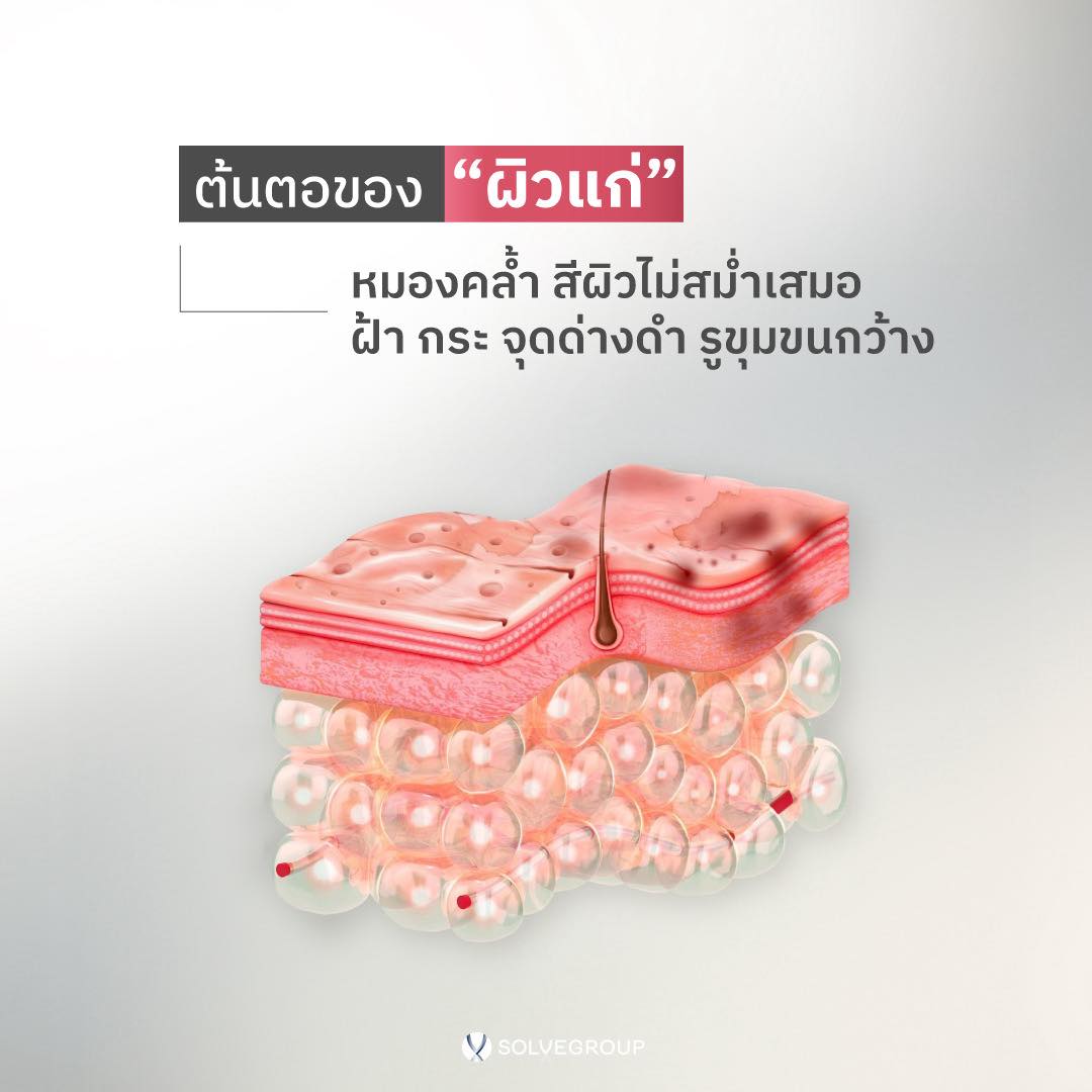 PYCNOGENOL Plus NAD+ Precursors