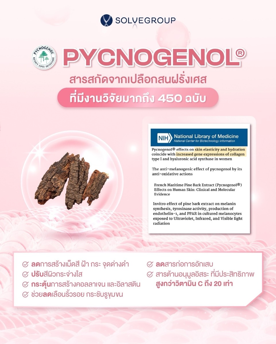 Pycnogenol สารสกัดจากเปลือกสนฝรั่งเศส