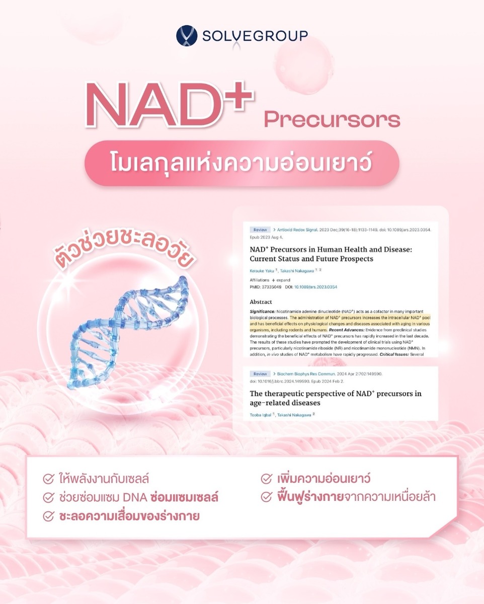 NAD+ Precursors โมเลกุลแห่งความอ่อนเยาว์ ตัวช่วยชะลอวัย