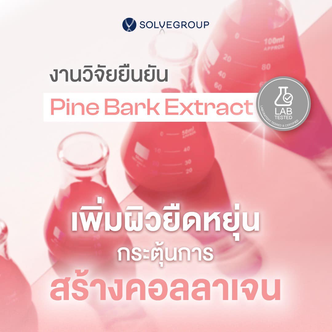 งานวิจัยยืนยัน Pine Bark Extract เพิ่มผิวยืดหยุ่น กระตุ้นการ สร้างคอลลาเจน