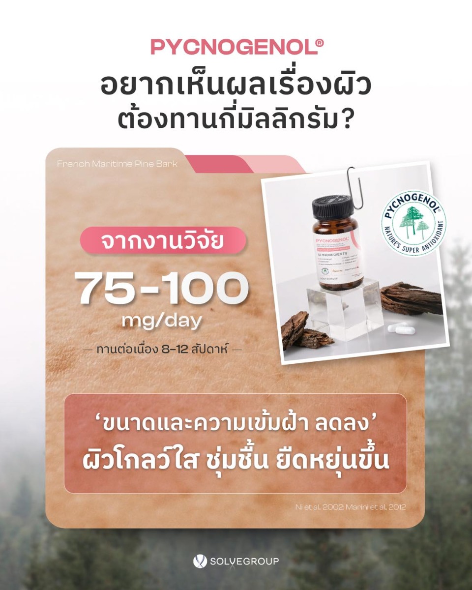 PYCNOGENOL อยากเห็นผลเรื่องผิว ต้องทานกี่มิลลิกรัม? PYCNOGENOL อยากเห็นผลเรื่องผิว ต้องทานกี่มิลลิกรัม?