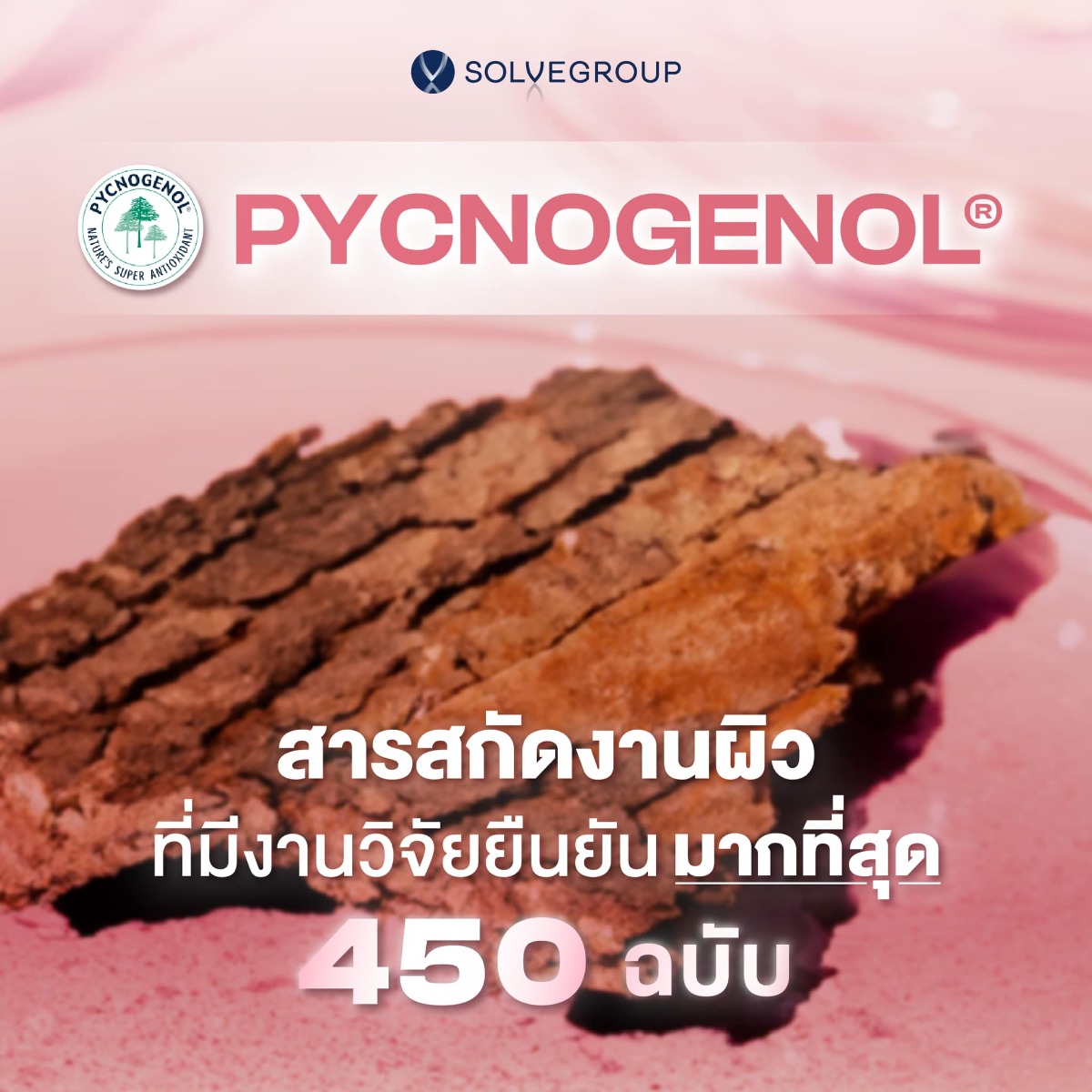 PYCNOGENOL สารสกัดงานผิว ที่มีงานวิจัยยืนยัน มากที่สุด 450 ฉบับ