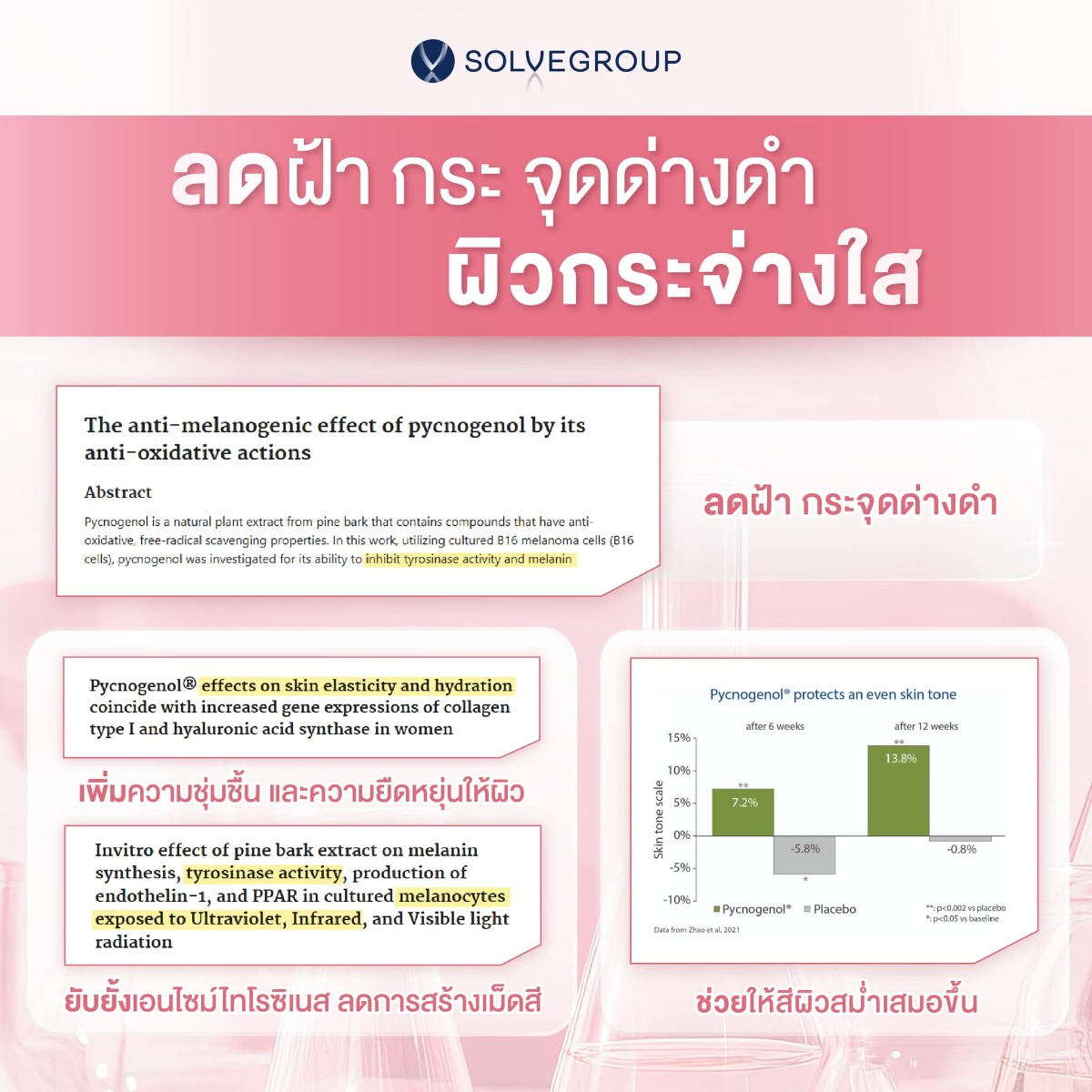 Pycnogenol ช่วย ลดฝ้า กระ จุดด่างดำ ทำให้ผิวกระจ่างใส และเพิ่มความชุ่มชื้น และความยืดหยุ่นให้ผิว