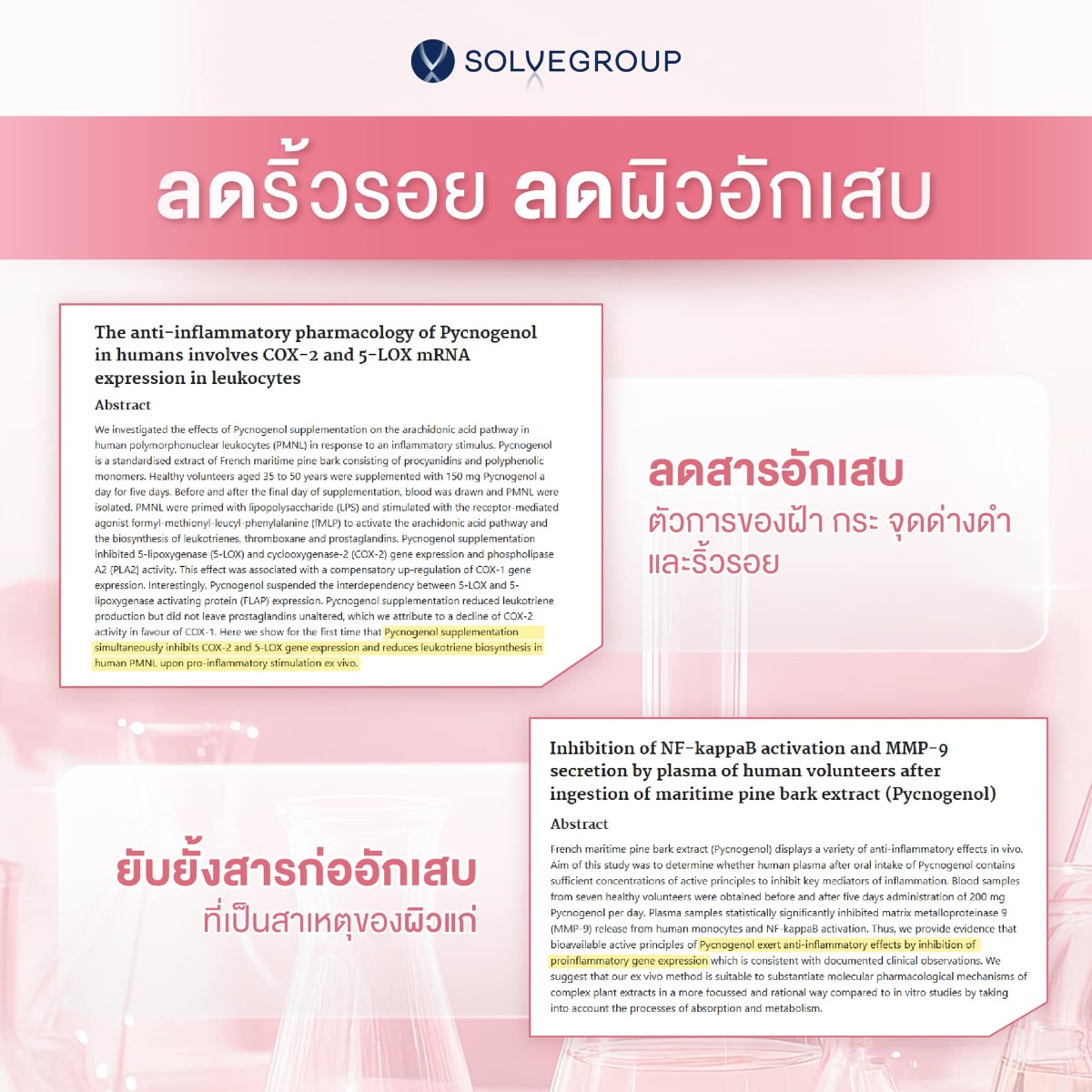 Pycnogenol ช่วย ลดสารอักเสบ ตัวการของฝ้า กระ จุดด่างดำ และริ้วรอย ช่วยยับยั้งสารก่ออักเสบ ที่เป็นสาเหตุของผิวแก่