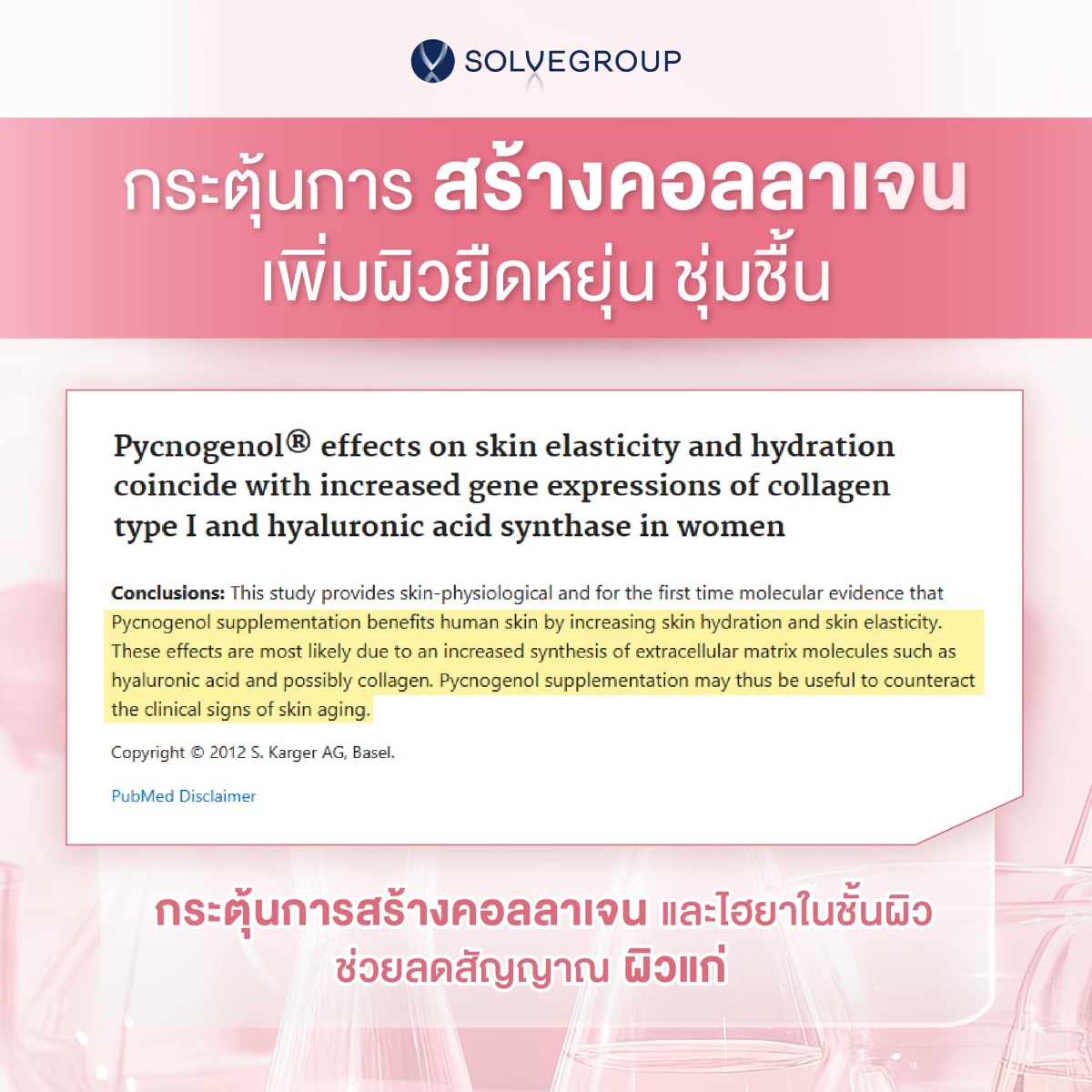 Pycnogenol ช่วย กระตุ้นการ สร้างคอลลาเจน เพิ่มผิวยืดหยุ่น ชุ่มชื้น กระตุ้นการสร้างคอลลาเจน และไฮยาในชั้นผิว ช่วยลดสัญญาณ ผิวแก่