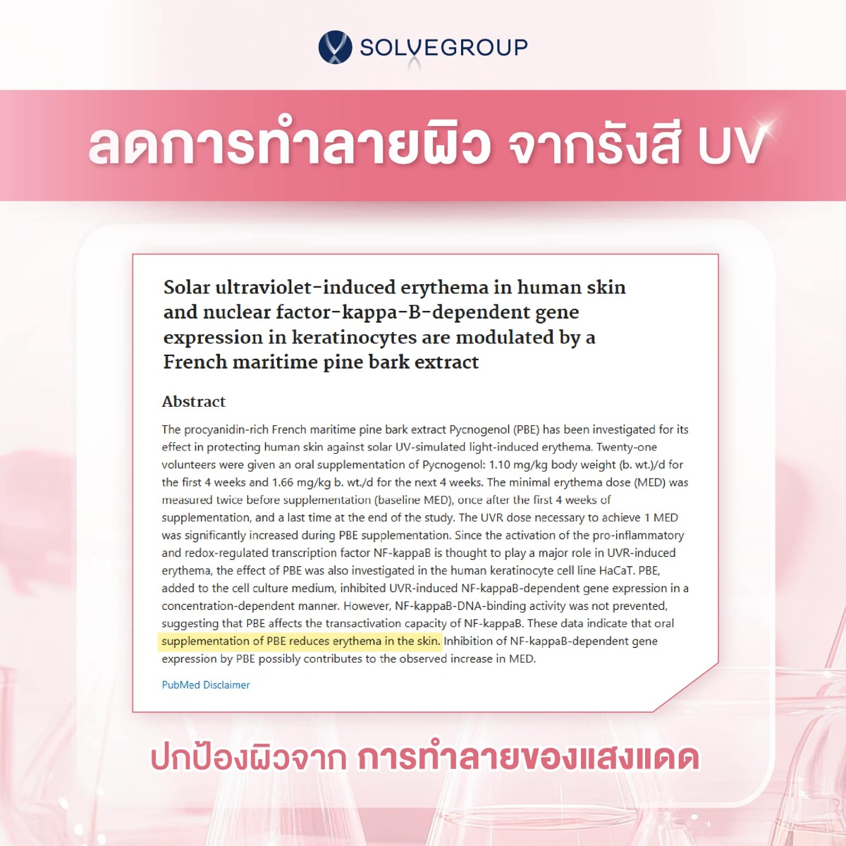 Pycnogenol ช่วยลดการทำลายผิว จากรังสี UV ปกป้องผิวจาก การทำลายของแสงแดด