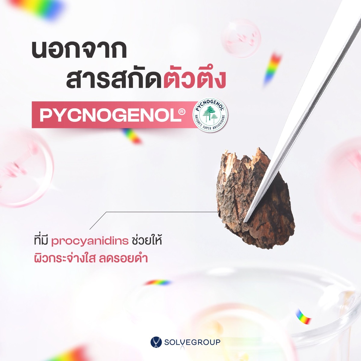 • นอกจากสารสกัดตัวตึง PYCNOGENOL ที่มี Procyanidins ที่ช่วยลดรอยดำ ทำให้ผิวสว่างกระจ่างใสแล้ว • นอกจากสารสกัดตัวตึง PYCNOGENOL ที่มี Procyanidins ที่ช่วยลดรอยดำ ทำให้ผิวสว่างกระจ่างใสแล้ว