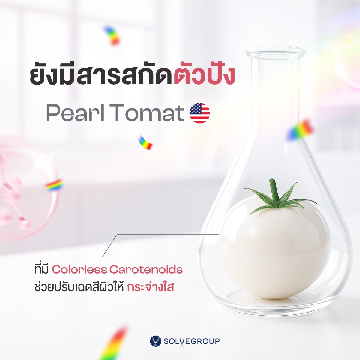 สารสกัดตัวปัง Pearl Tomato สารสกัดตัวปัง Pearl Tomato