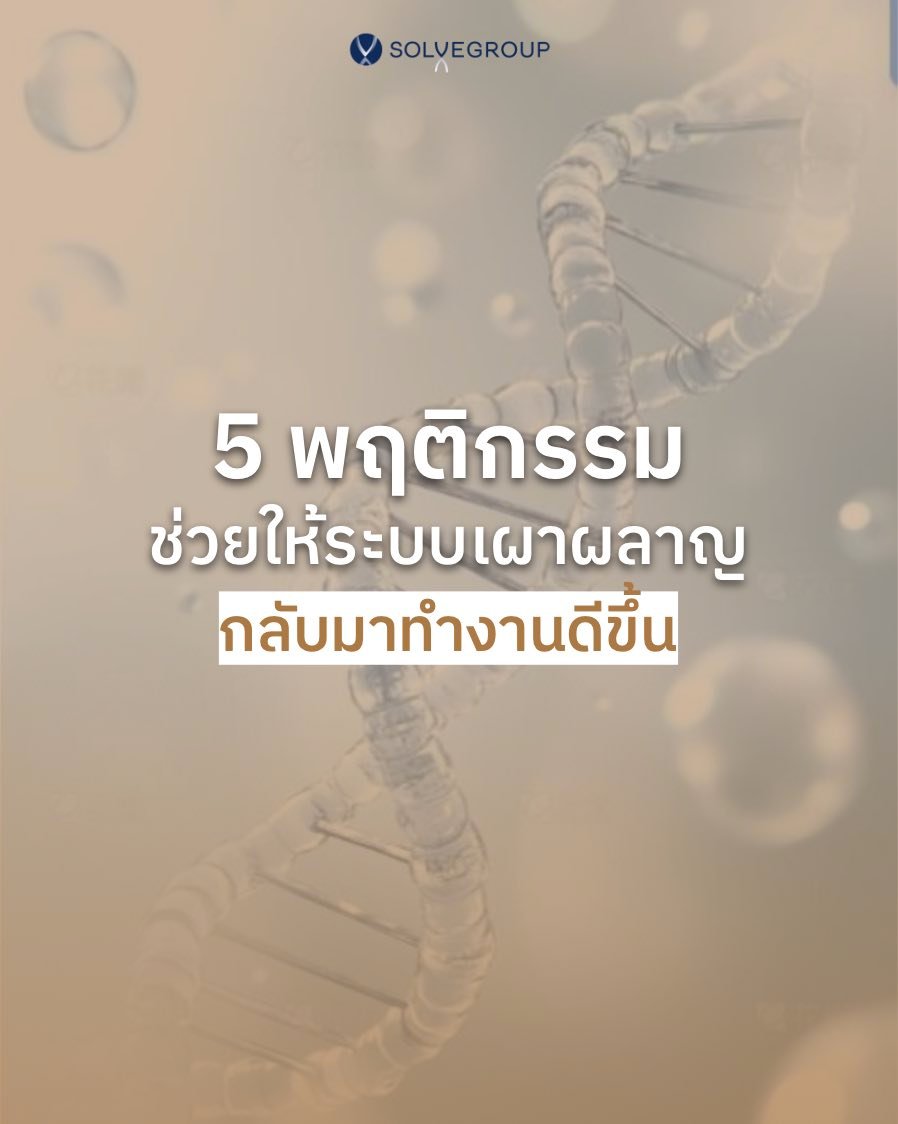 5 พฤติกรรม ช่วยให้ ระบบเผาผลาญ กลับมาทำงานดีขึ้น 5 พฤติกรรม ช่วยให้ ระบบเผาผลาญ กลับมาทำงานดีขึ้น