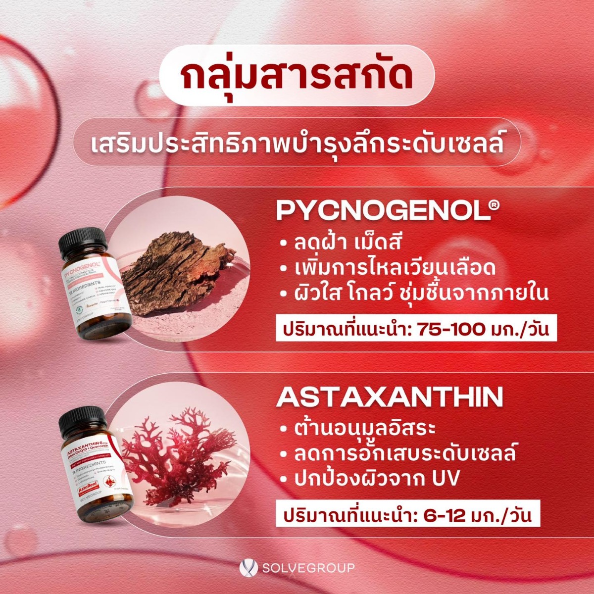 กลุ่มสารสกัด เสริมประสิทธิภาพบำรุงลึกระดับเซลล์ กลุ่มสารสกัด เสริมประสิทธิภาพบำรุงลึกระดับเซลล์