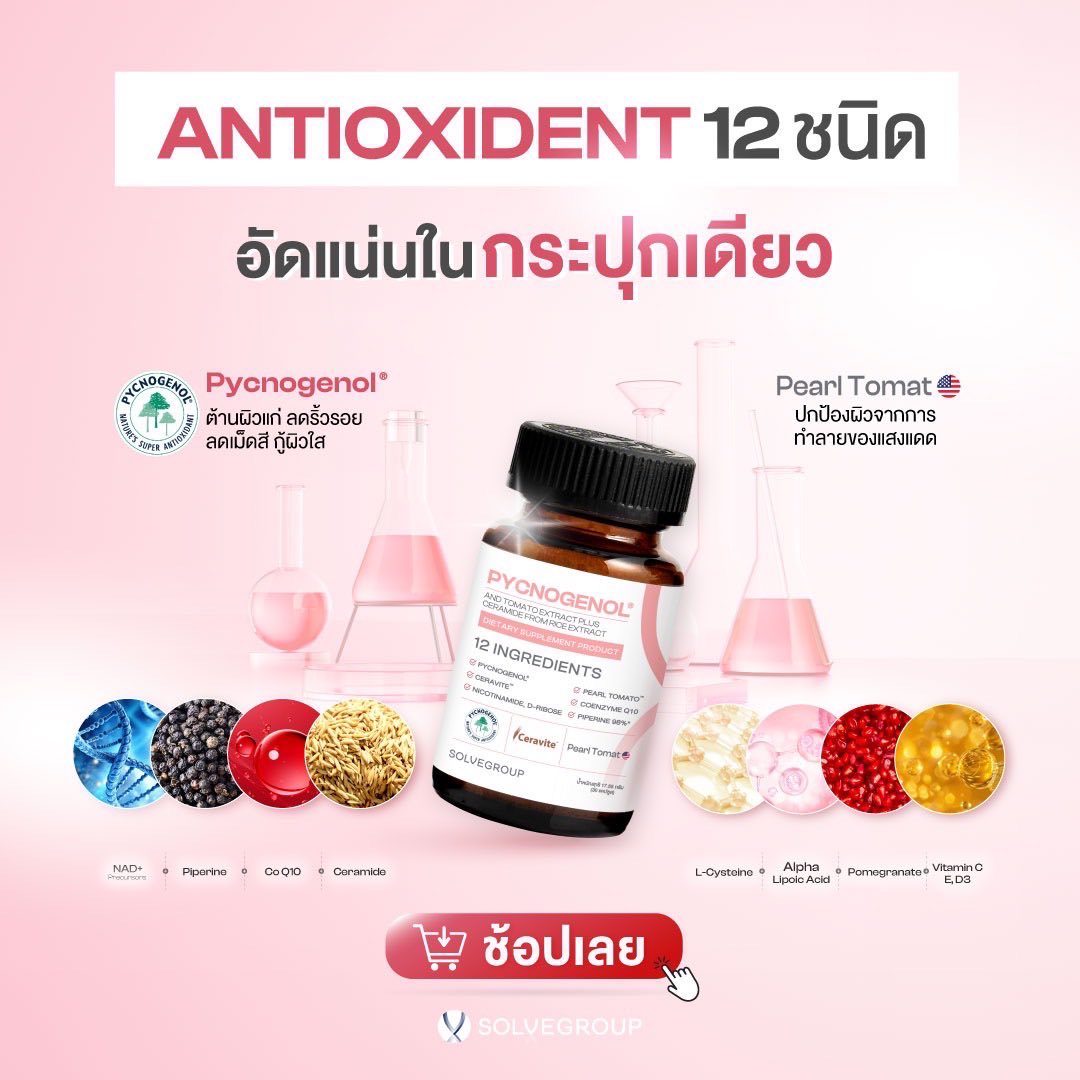 pycnogenolต้องsolve