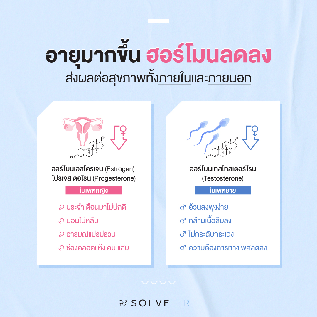 ฮอร์โมนในเพศ