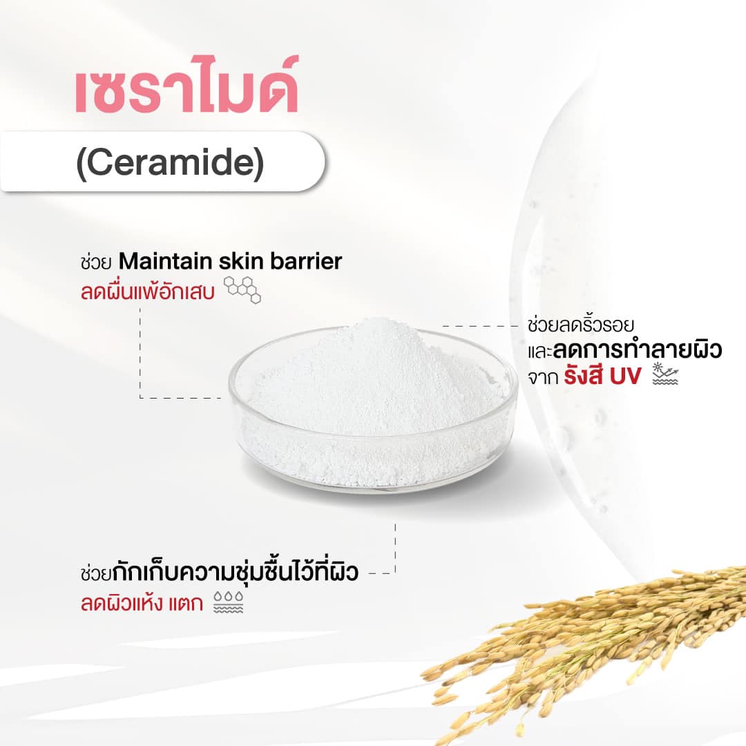 5. เซราไมด์ (Ceramide)