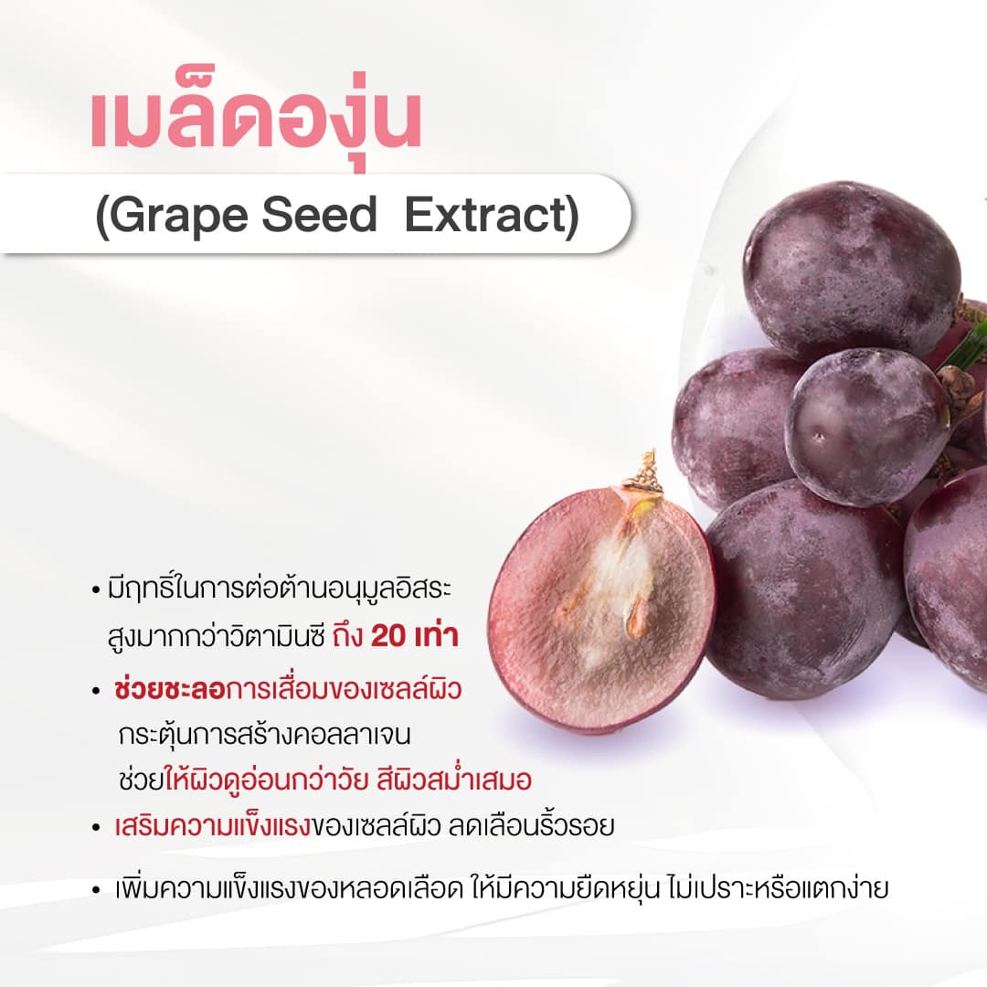 4. สารสกัดจากเมล็ดองุ่น (Grape Seed Extract)