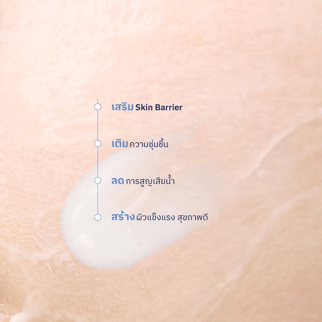 เสริม Skin Barrier