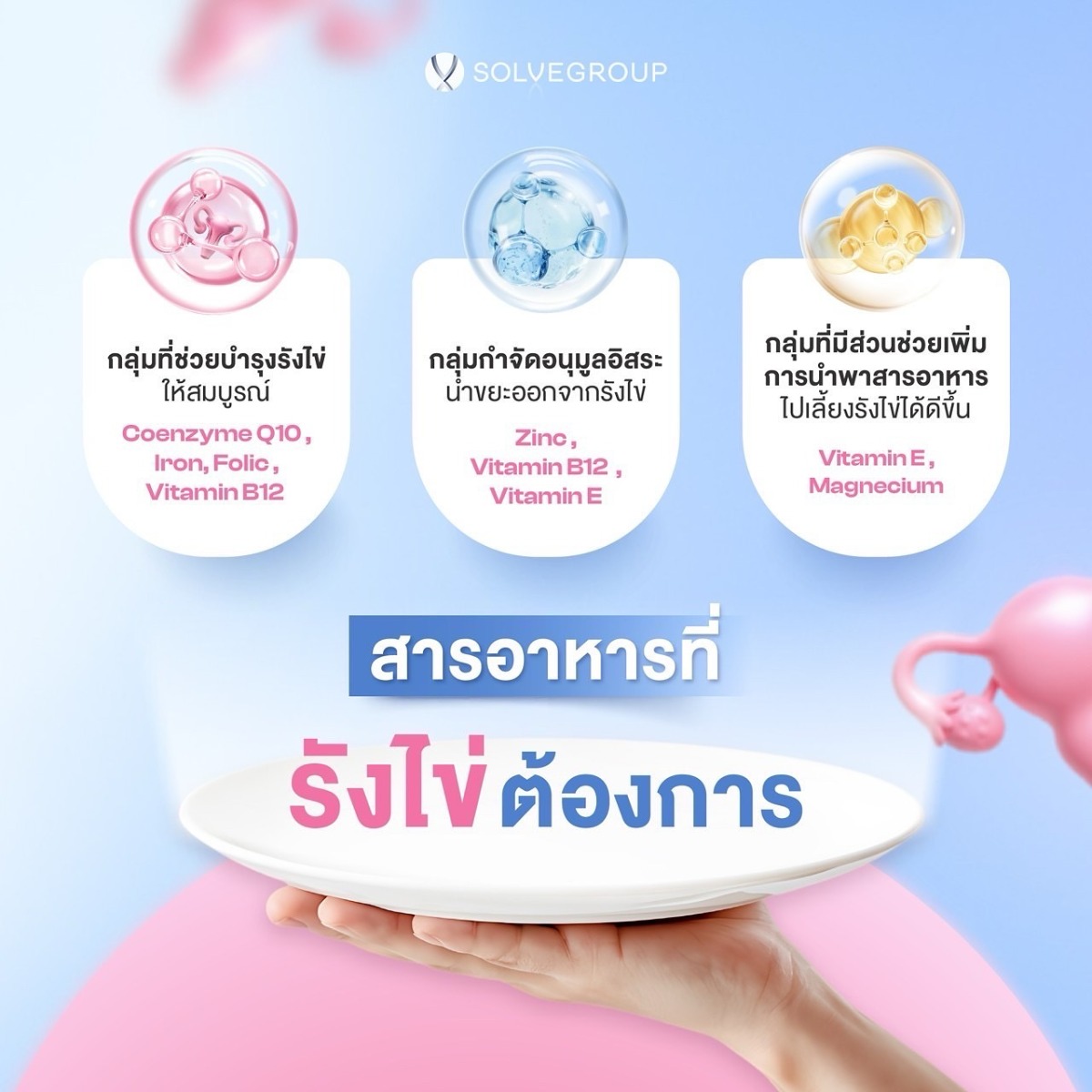 สารอาหารสำคัญที่รังไข่ต้องการ สารอาหารสำคัญที่รังไข่ต้องการ