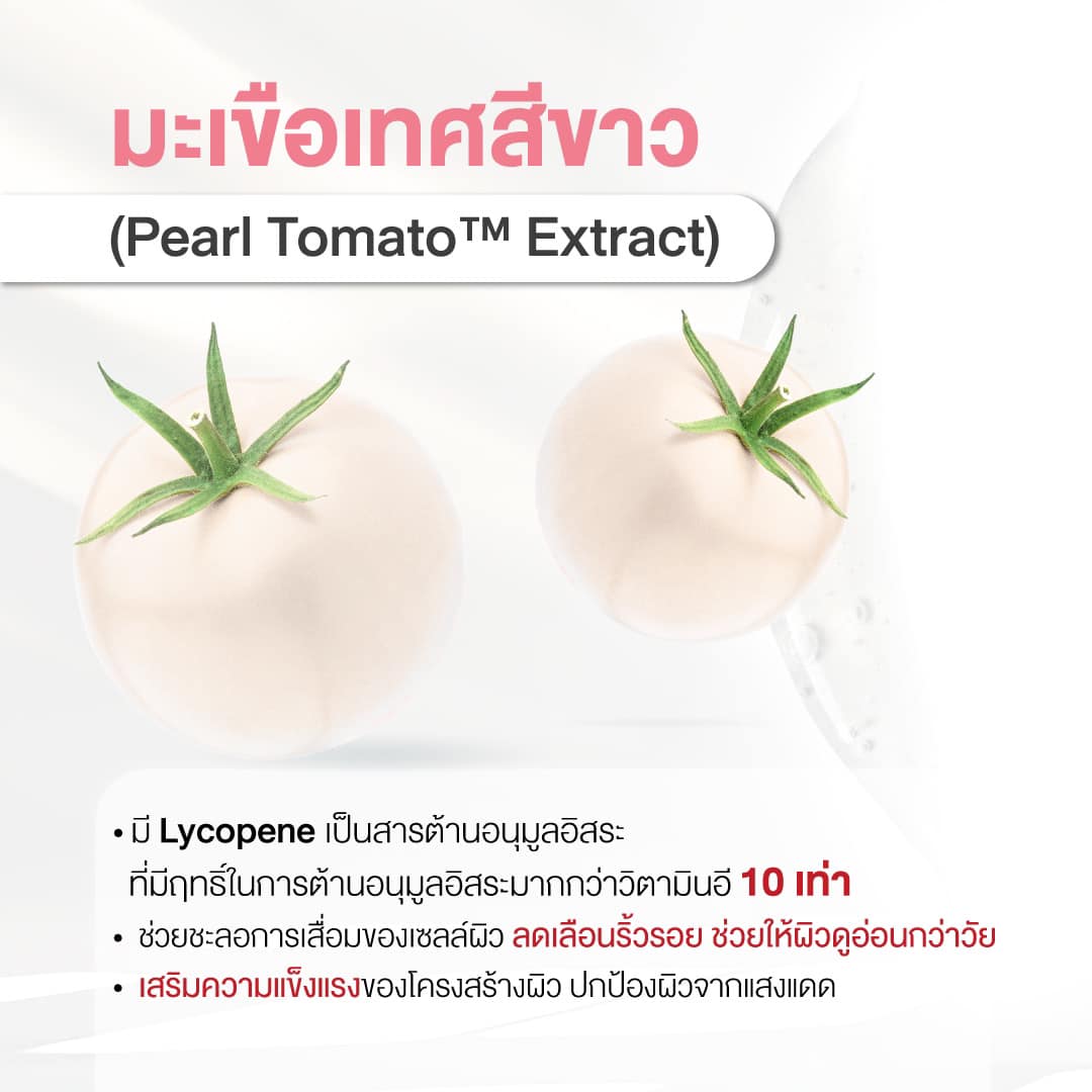 2. สารสกัดจากมะเขือเทศสีขาว (Pearl Tomato Extract)