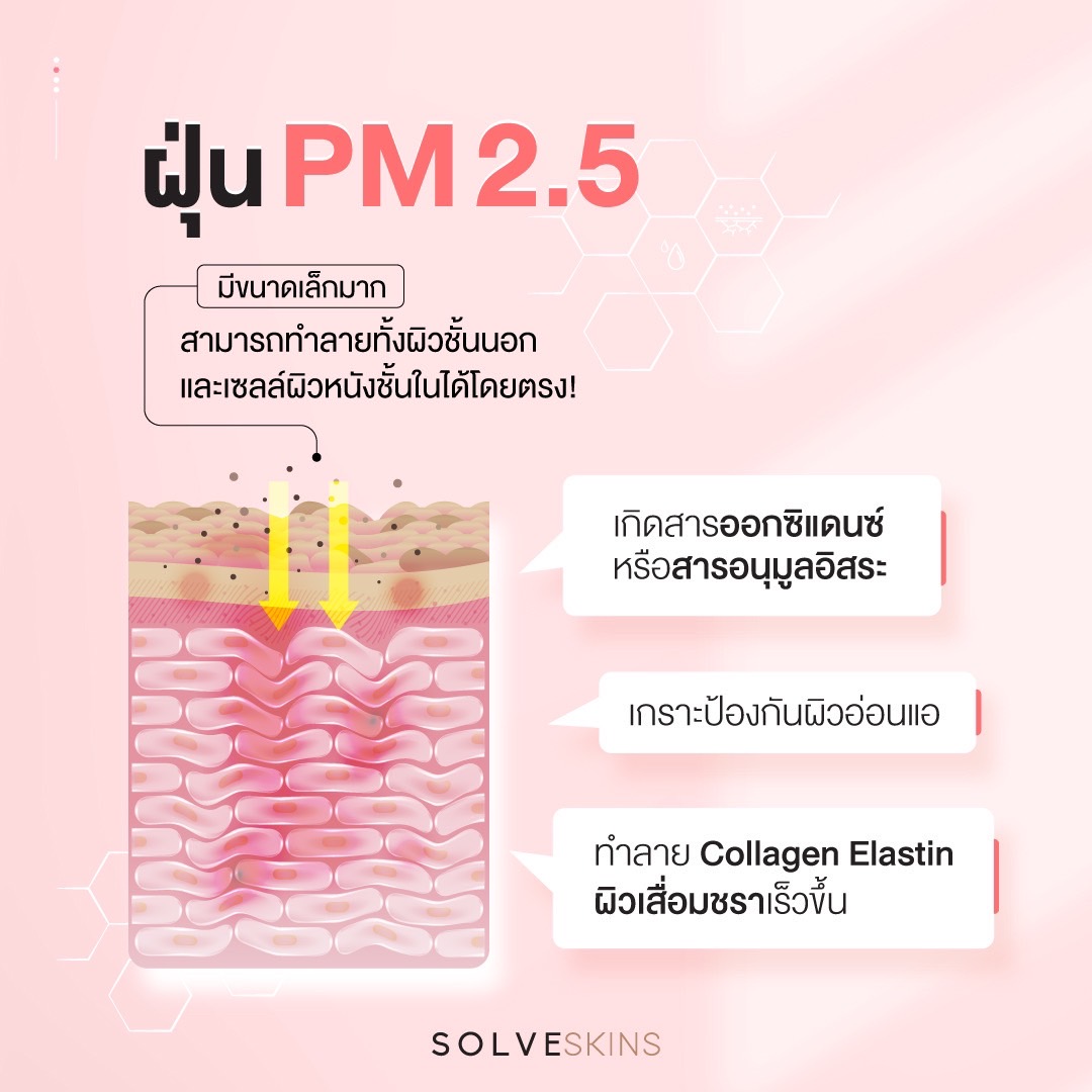 ฝุ่น PM 2.5 (Particulate matter with diameter of less than 2.5 micron)