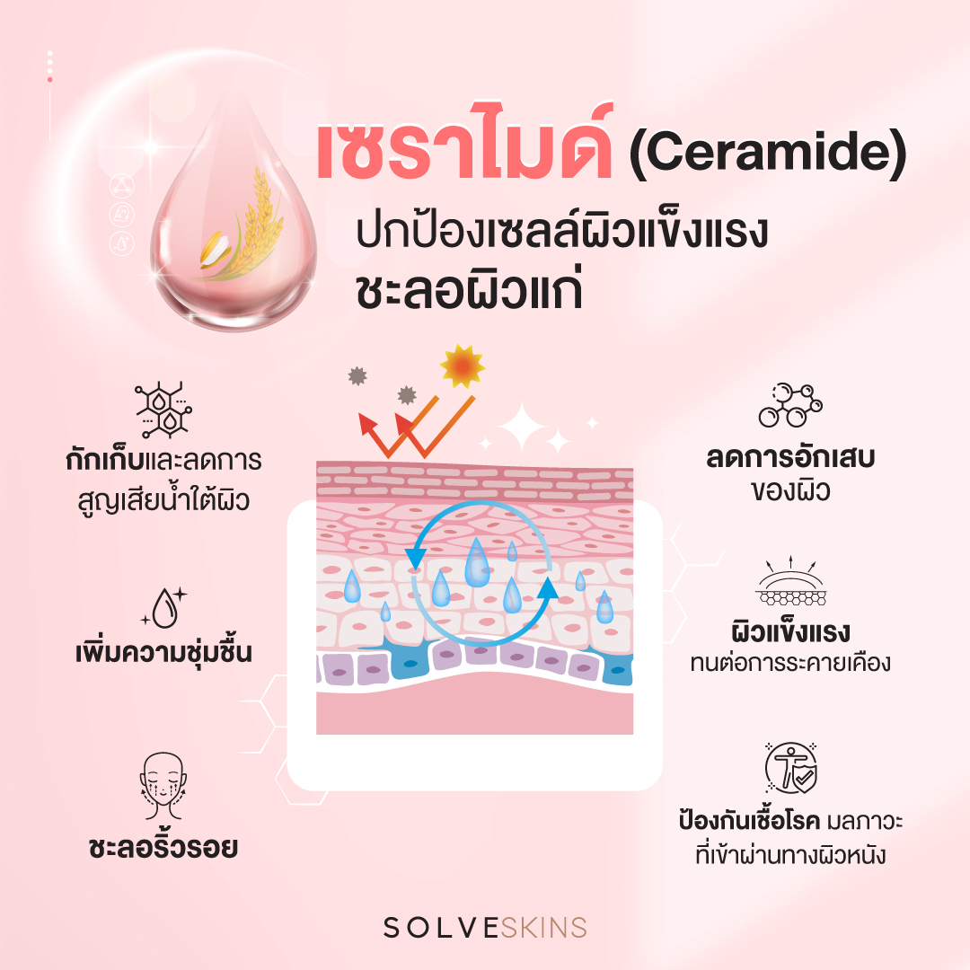 เซราไมด์ (ceramide) ปกป้องเซลล์ผิวแข็งแรง ชะลอผิวแก่