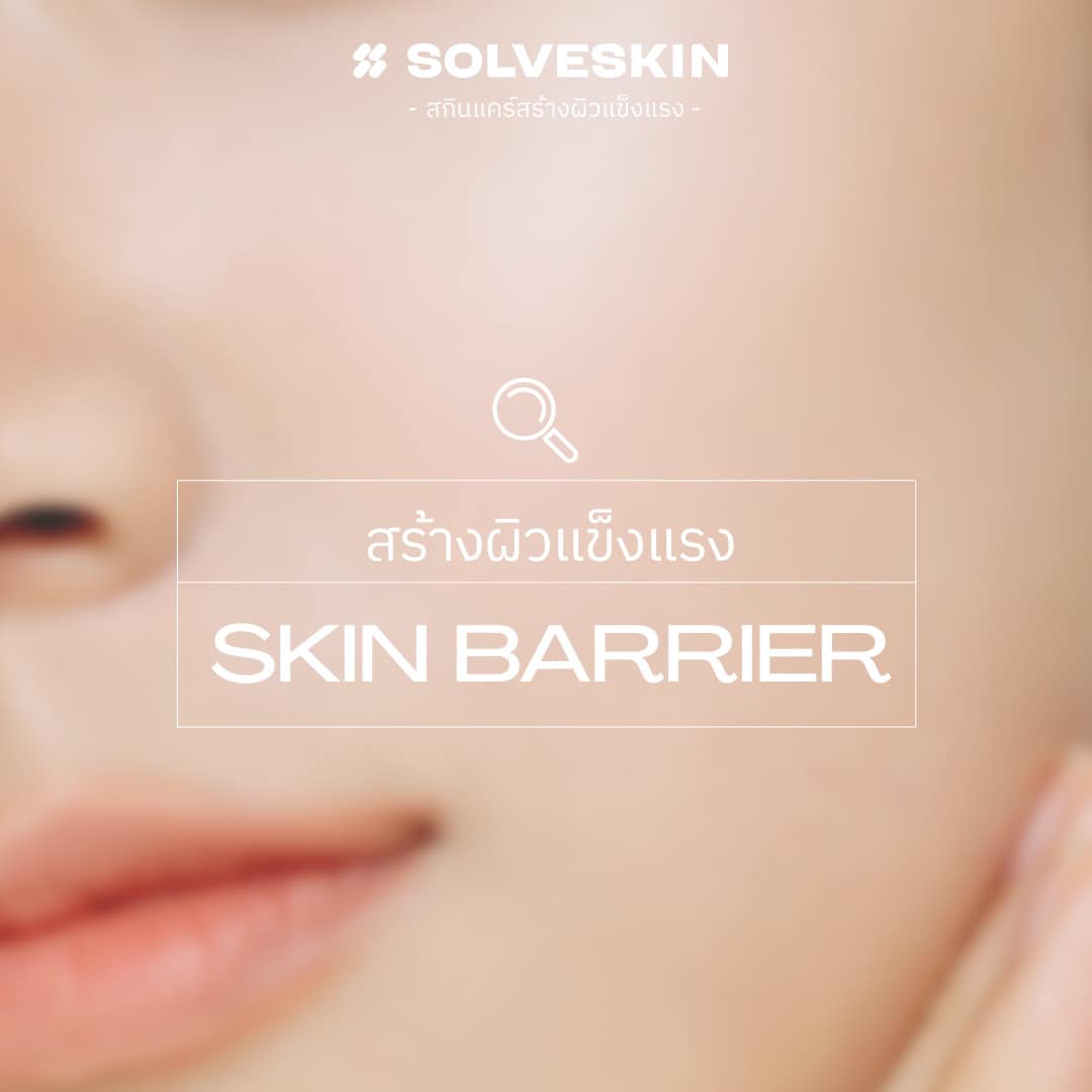 สร้างผิวแข็งแรง Skin Barrier เซรั่มผิวแข็งแรง