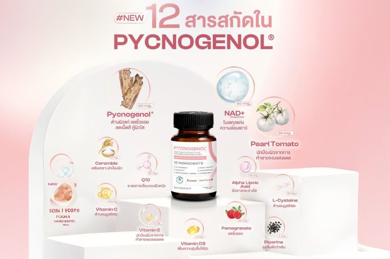 12 สารสกัดใน Pycnogenol