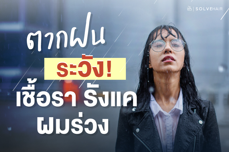 ตากฝน ผมเปียก หนัวศีรษะอับชื้น ระวัง! เชื้อรา รังแค ผมร่วง