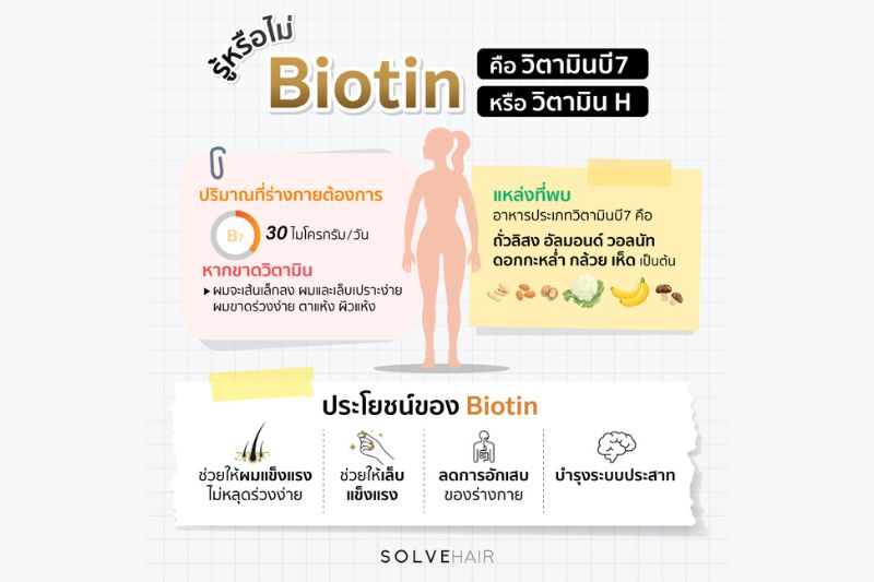 รู้หรือไม่ Biotin คือ วิตามินบี7 หรือ วิตามิน H