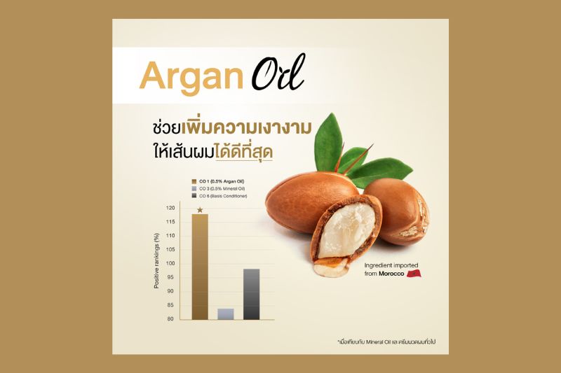 Argan Oil ช่วยเพิ่มความเงางาม ให้เส้นผมได้ดีที่สุด