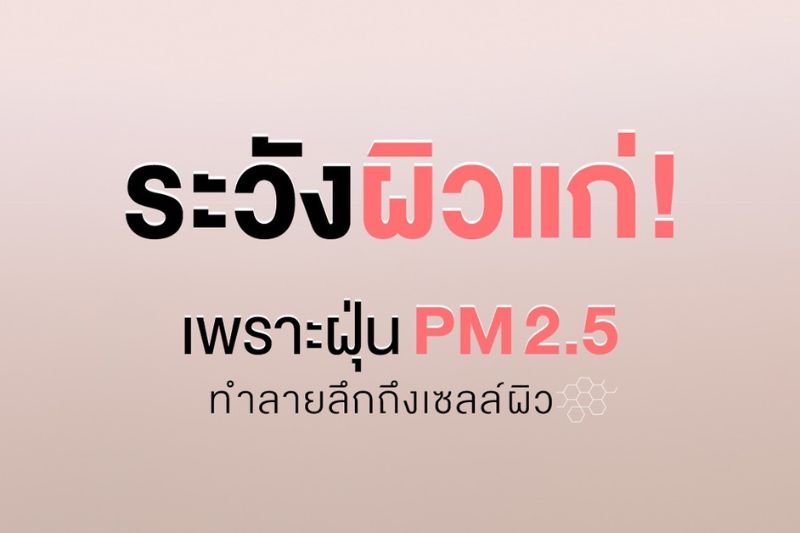 ระวังผิวแก่!!! เพราะฝุ่น PM 2.5 ทำลายลึกถึงเซลล์ผิว