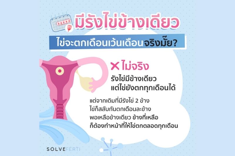 มีรังไข่ข้างเดียว ไข่ตกเดือนเว้นเดือน จริงมั้ย?