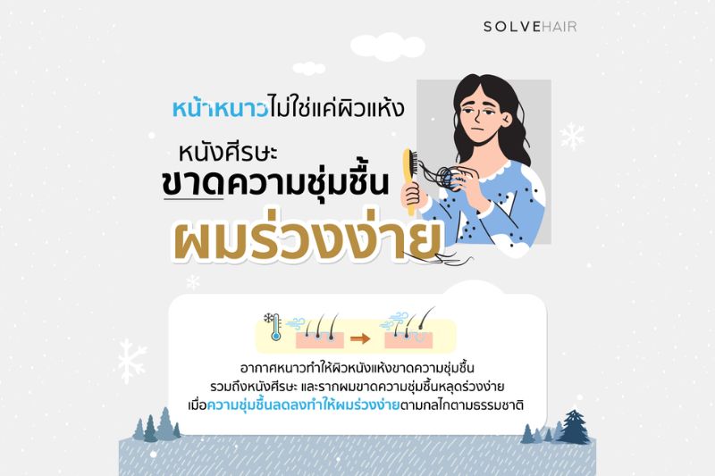 หน้าหนาวไม่ใช่แค่ผิวแห้ง หนังศีรษะ ขาดความชุ่มชื้น ผมร่วงง่าย