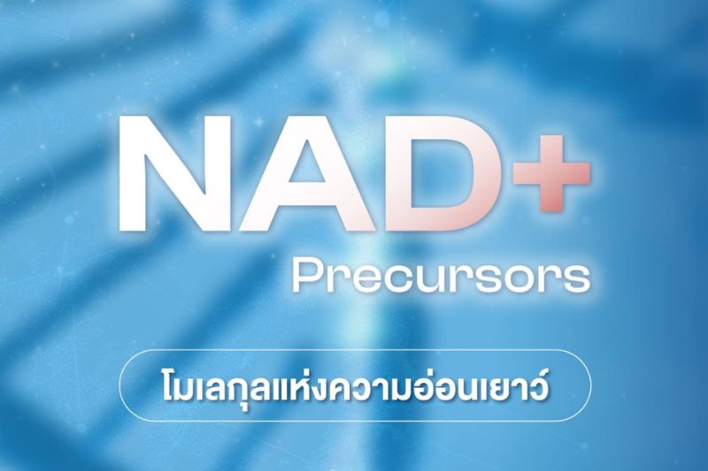 NAD+ Precursors โมเลกุลแห่งความอ่อนเยาว์