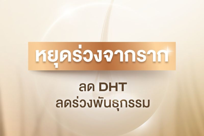 หยุดร่วงจากราก ลด DHT ลดผมร่วงพันธุกรรม