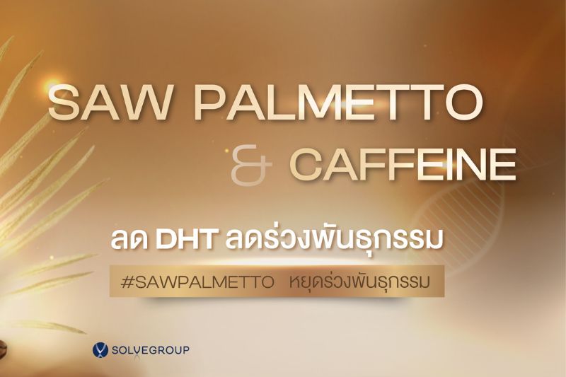 Saw Palmetto & Caffeine ลด DHT ลดผมร่วงพันธุกรรม