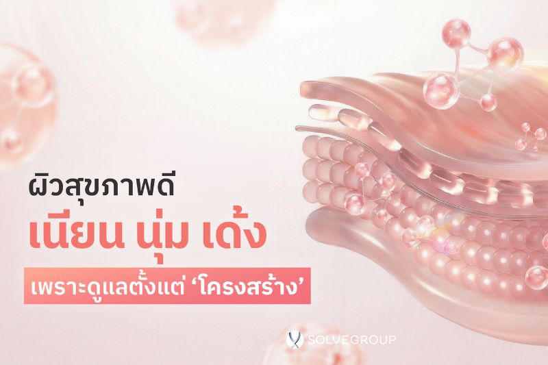 ผิวสุขภาพดี เนียน นุ่ม เด้ง ต้องเริ่มดูแลตั้งแต่ โครงสร้างผิว