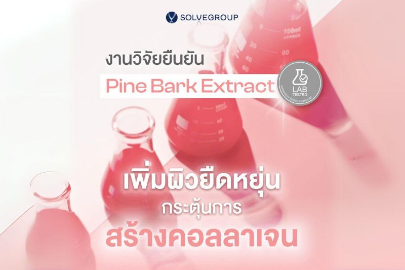 งานวิจัยยืนยัน Pine Bark Extract เพิ่มผิวยืดหยุ่น กระตุ้นการ สร้างคอลลาเจน