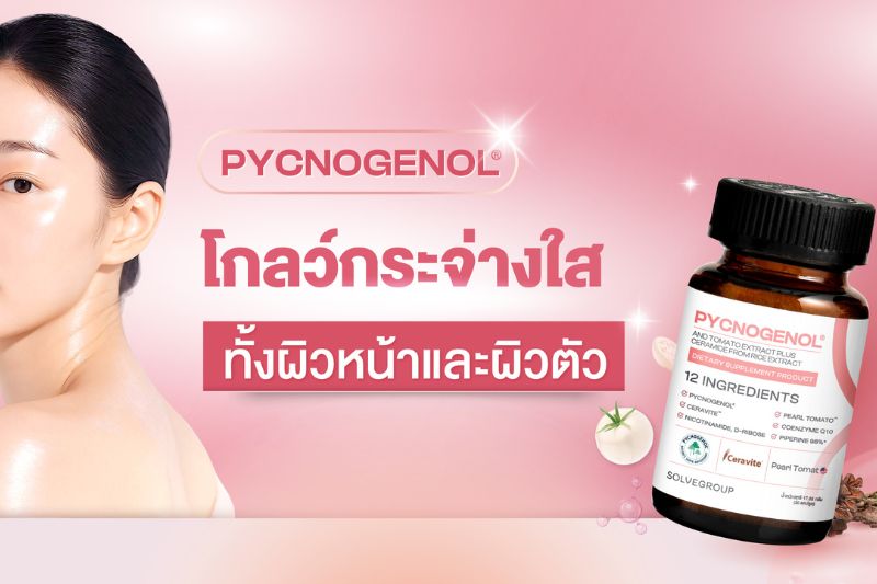 Pycnogenol โกลว์กระจ่างใส ทั้งผิวหน้าและผิวตัว